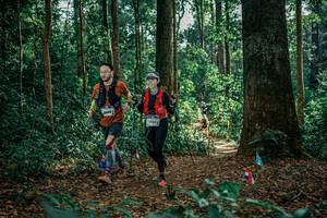 BIB: 
                            <button type="button" onclick="openModal(26133275)" class="btn btn-primary btn-sm float-right btn-popup" data-toggle="modal" data-target=".modal-high-quality">
                        <i class="fas fa-shopping-cart"></i> Add to Cart
                    </button>
                                            <button type="button" onclick="isThisMe(26133275, true)" class="btn btn-success btn-sm float-right btn-popup btn-isme hidden" data-toggle="tooltip" data-placement="bottom" title="นี่คือรูปของคุณใช่ไหม คลิกที่นี่เพื่อเอาเข้าอัลบั้ม">
                        <i class="fas fa-plus"></i> Add to album
                    </button>
                    <button type="button" onclick="isThisMe(26133275, false)" class="btn btn-warning btn-sm float-right btn-popup btn-isnotme hidden">
                        <i class="fas fa-ban"></i> Remove from album
                    </button>